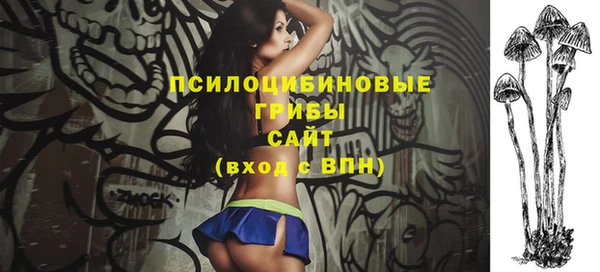 дживик Карпинск
