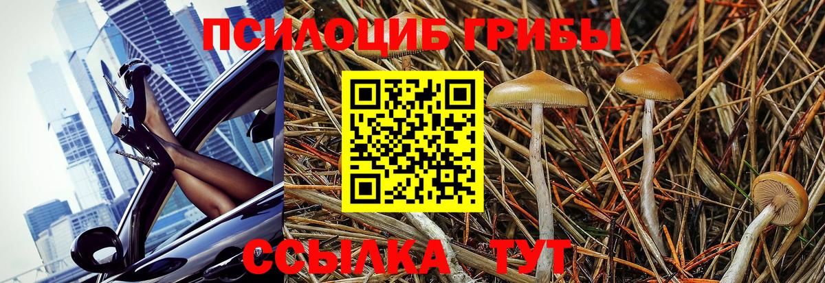 Галлюциногенные грибы Magic Shrooms Менделеевск
